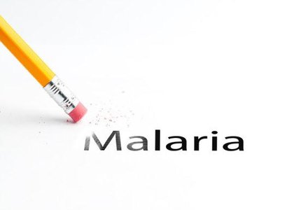 New study outlines strategy for eradication of malaria