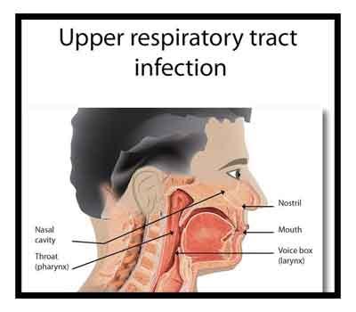 ICMR Antimicrobial Guidelines for Upper Respiratory Tract Infections