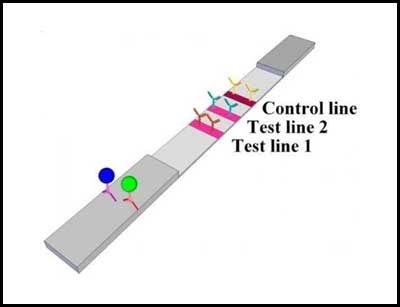 Paper test strip could help heart failure patients monitor their condition at home