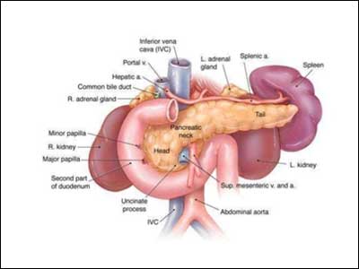 Combined molecular biology test is the first to distinguish benign pancreatic lesions
