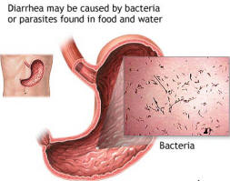 Study finds if diarrhea serves a purpose