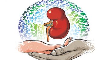 Ideal BMI has best organ survival in kidney transplant