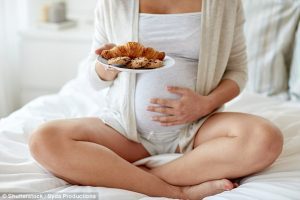 High-fat diet in pregnancy can cause mental health problems in offspring