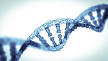 New technology to alter genes in human embryos developed