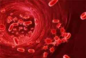 DOACs - direct oral anticoagulants associated with less risk of major bleeding : BMJ