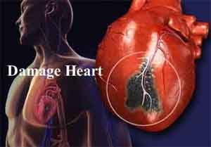 Trigger for repairing and self-healing of damaged heart cells found