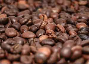 Caffeine level in blood may help diagnose people with Parkinsons disease