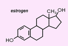 Estrogen may have role in controlling Type 2 diabetes