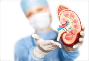 In hypertensive patients, greater reduction in BP may harm kidneys