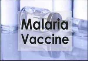 Promising malaria vaccine tested