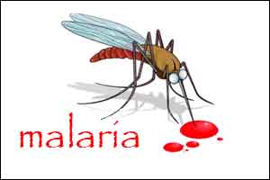 Rare Case of quadruple malaria infection