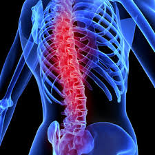 New treatment significantly improved bladder activity after spinal cord injury