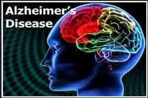 Herpes virus has role in development of Alzheimers disease : Study