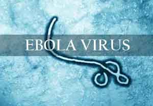 A single enzyme to switch off ability of Ebola virus  to replicate