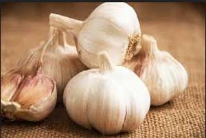 Garlic helps to fight chronic infections