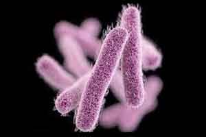 Global guidance on carbapenem-resistant bacteria issued by WHO