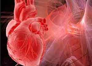 Vitamin D prevents heart failure after heart attack