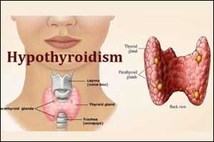 Elderly patients on Levothyroxine may have increased mortality