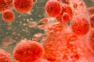 US scientists may have found potential treatment for leukaemia