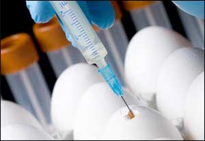 No Precautions required for Flu Shots in people allergic to eggs : Guidelines