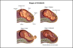 Spontaneous labor progression for vaginal births is slower than expected in many women