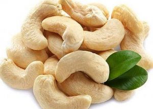 Cashew nuts beneficial for cardiovascular health of Indians with Type 2 DM