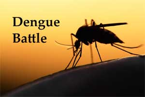 ICMR develops Ayurvedic Capsule to Cure Dengue, currently under Trial