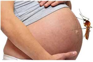 Treatment of malaria during pregnancy