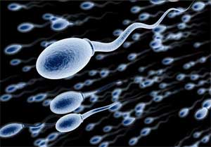 Low sperm count - a marker of health not just fertility