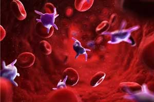 Fostamatinib has meaningful clinical response in Immune Thrombocytopenia