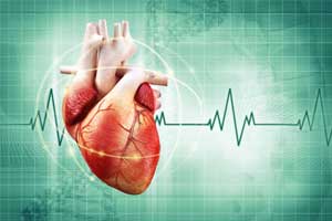 Castle Score: A new method of predicting procedural success in CTO PCI