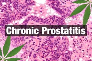 Intervention for treating chronic prostatitis and chronic pelvic pain in men