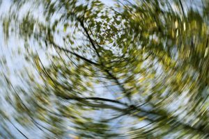 Vertigo May Worsen Odds of Recovery in Sudden Hearing Loss