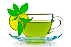 Compound in green tea could help combat tuberculosis