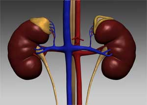 AZEDRA safe and effective for treating pheochromocytoma