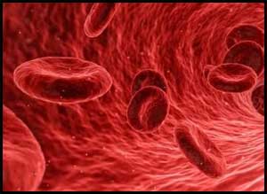 A case of Acquired Hemophilia induced by Levofloxacin