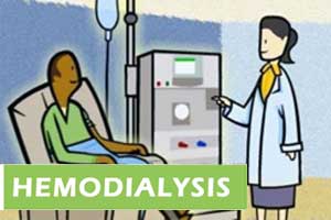 First catheter-based system for vascular access for hemodialysis patients