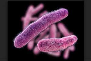 Shigella resistant to Cipro ,Azithromycin on the rise