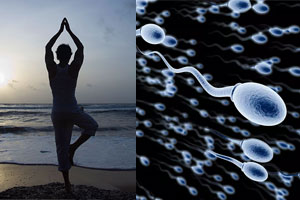 Daily yoga practice improves sperm quality: AIIMS study