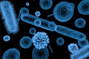 Even a shorter course of antibiotics effective in Gram-negative Bacteremia