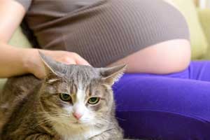 New low-cost blood test for prevention of toxoplasmosis in pregnancy