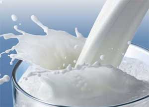 Consumption of milk and milk products during growing years helps you achieve a lean body