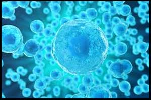 Cancer drug effective in human papillomavirus infections identified