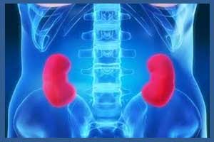 NICE releases 2019 Guidelines for Management of Renal and ureteric stones