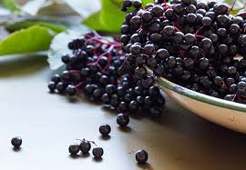 Elderberry syrup effectively controls cold and flu symptoms