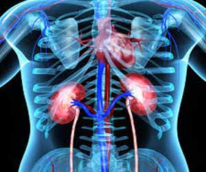 IIT Researchers develop New test to detect early albuminuria
