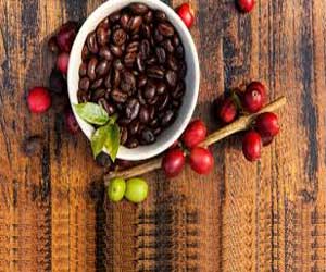 Coffee Fruit Extract Is the Superfood Supplement Your Brain Needs