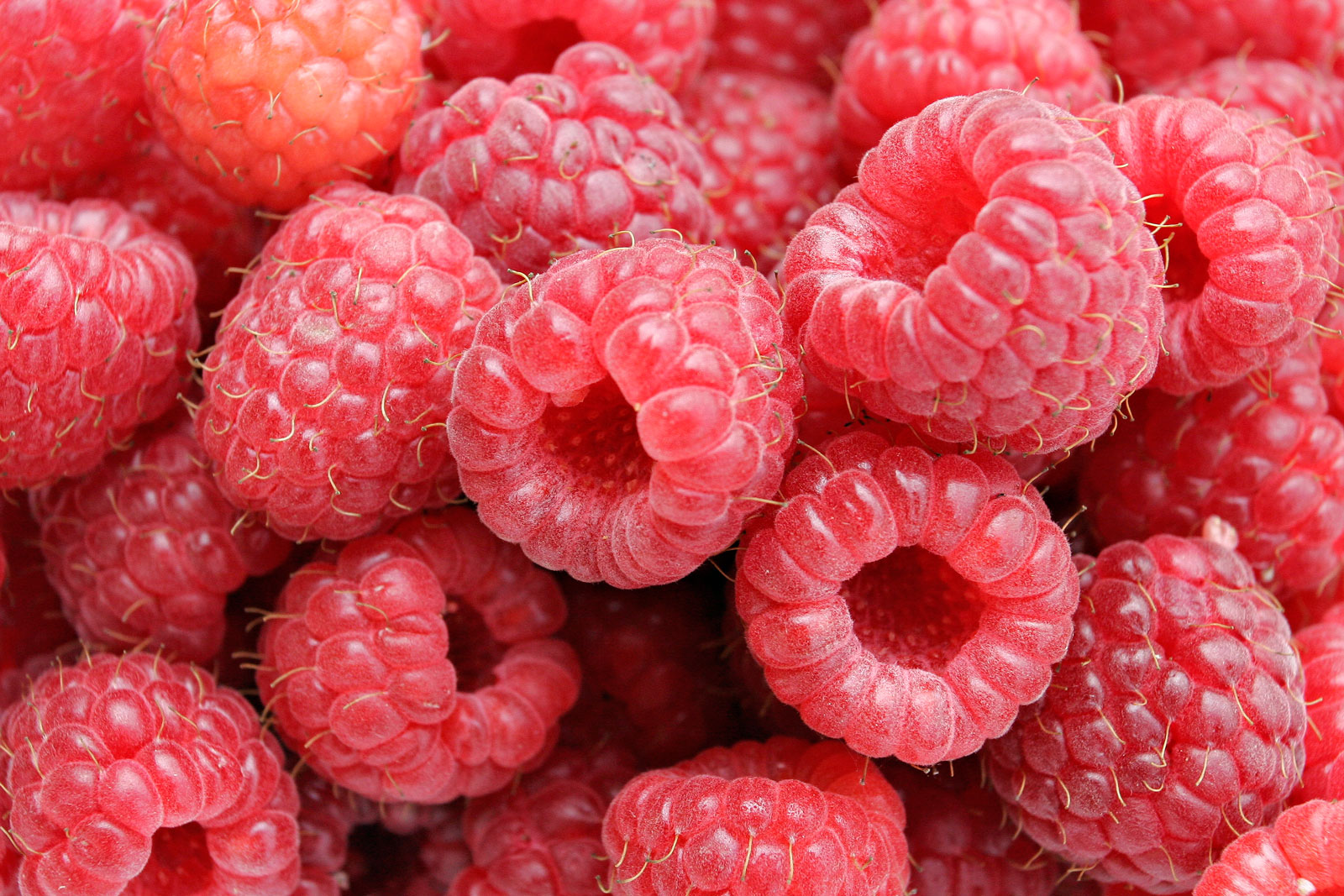 Raspberries decrease postprandial blood sugar in Type 2 Diabetes, finds study