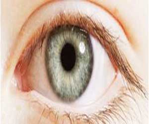 High fat diet linked to macular degeneration and sight-loss in later life