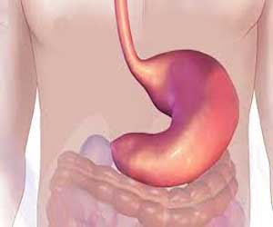 Scientists synthesize new compound to fight stomach infections